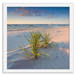 CARO Obraz v rámu - Green Grass On The Beach 2 20x20 cm Bílá
