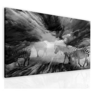 InSmile ® Obraz black and white Velikost: 90x60 cm