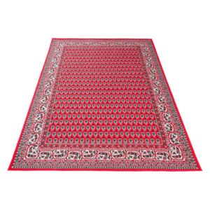 Moderní kusový koberec CHAPPE CH5160 - 80x150 cm