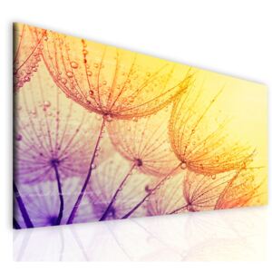 InSmile ® Obraz citáty v rose Velikost: 90x60 cm