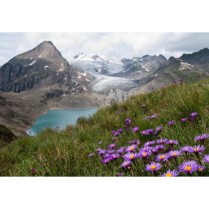 Fototapeta, Tapeta Color Between Mountains, (368 x 254 cm)