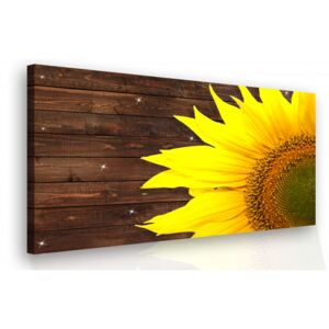 InSmile ® Obraz na plátně - slunečnice Velikost: 90x60 cm