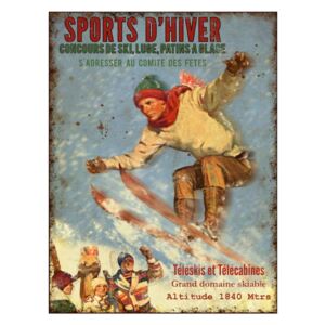 Dekorativní kovová cedule Antic Line Sports D'hiver, 25 x 33 cm