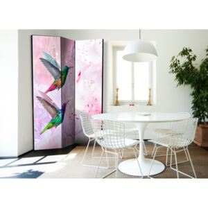 Murando DeLuxe Paraván barevní kolibříci I Velikost: 135x172 cm