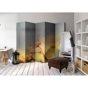 Murando DeLuxe Paraván letní slunovrat II Velikost: 225x172 cm