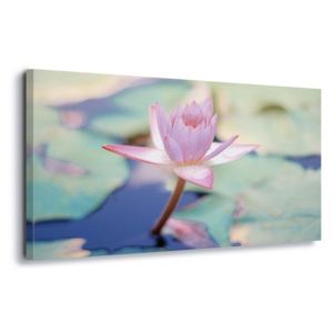 GLIX Obraz na plátně - Pond Princess 60x40 cm