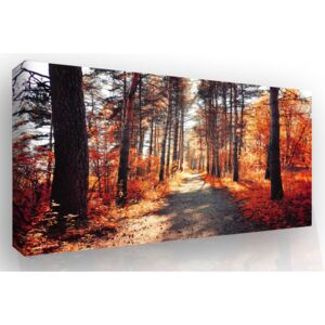 InSmile ® Obraz na plátně - podzimní procházka Velikost: 60x40 cm