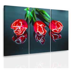 InSmile ® Vícedílný obraz - Tři tulipány Velikost: 120x80 cm