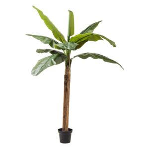 KARE DESIGN Dekorativní předmět Plant Banana Tree 190 cm, Vemzu