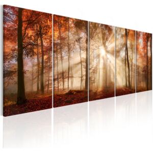 Murando DeLuxe Pětidílný obraz - zářící stromy Velikost: 125x50 cm