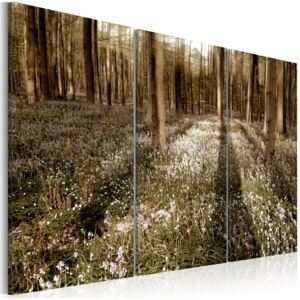 Murando DeLuxe Třídílné obrazy - jarní les Velikost: 90x60 cm