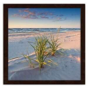 CARO Obraz v rámu - Green Grass On The Beach 2 20x20 cm Hnědá