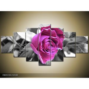 Obraz fialové růže (210x100 cm)