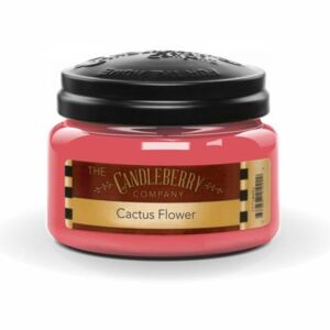 Candleberry Cactus Flower - Malá vonná svíčka 283g
