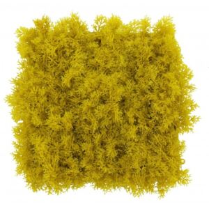 Umělý islandský mech žlutý, 50 x 50cm