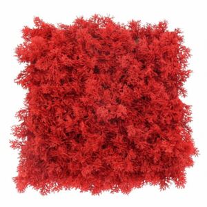 Umělý islandský mech červený, 50 x 50cm