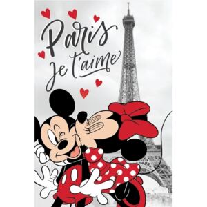 Jerry Fabrics dětská fleecová deka MM in Paris "Eiffel Tower" 100x150 cm