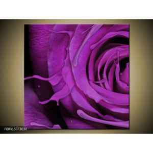 Moderní obraz fialového květu (F004153F3030)