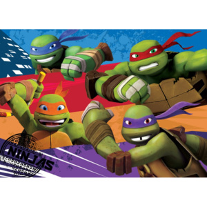 Vopi Dětský koberec Turtles-Želvy Ninjas 02 Ninjas Turtles 95 x 133 cm