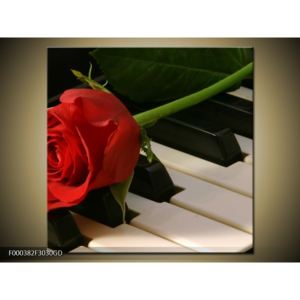 Obraz klavíru a růže (F000382F3030GD)