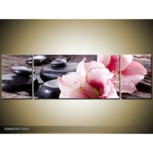 Obraz narůžovělých orchidejí (F004059F17050)