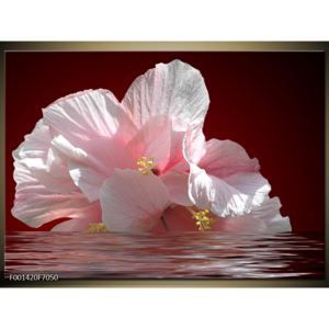 Obraz květin a vody (F001420F7050)