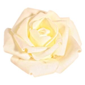Květ Růže bílý