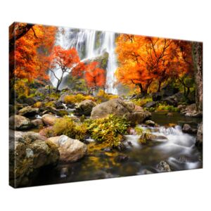 Obraz na plátně Podzimní vodopád 30x20cm 2335A_1T