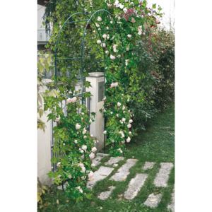 Verdemax Dekorativní zahradní železný oblouk 130cm x 37cm x 240cm, zelená barva