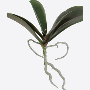 Animadecor Umělá květina / Orchidej listy