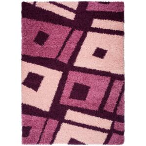 Kusový shaggy koberec RIO 4831A Tmavě fialový Rozměr: 200x290