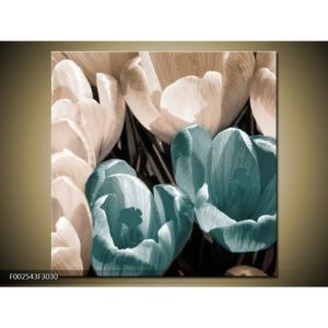 Obraz rozkvětlých tulipánů - tyrkysová bílá (F002543F3030)