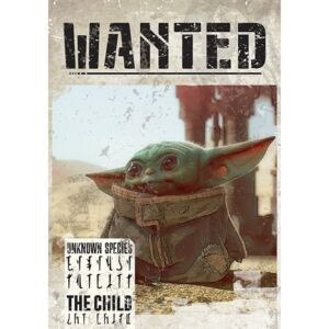 Plakát, Obraz - Star Wars: The Mandalorian - Baby Yoda Wanted, (61 x 91,5 cm)
