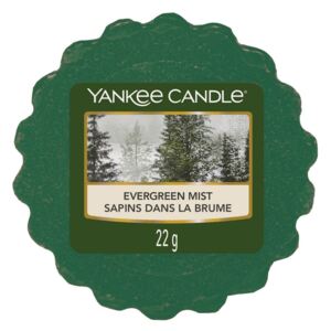 Yankee Candle - vonný vosk Evergreen Mist 22g