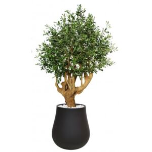 ILA Umělý strom Olive Robusta (200cm)
