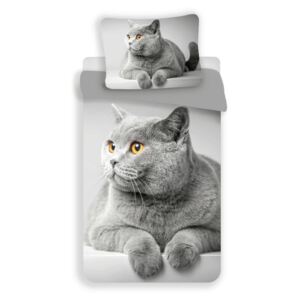 UNIVERSAL DESIGN MICRO 3D Povlečení Grey cat 140/200, 70/90 cm