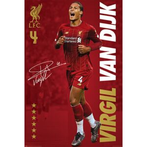 Plakát, Obraz - Liverpool FC - Virgil Van Dijk, (61 x 91,5 cm)