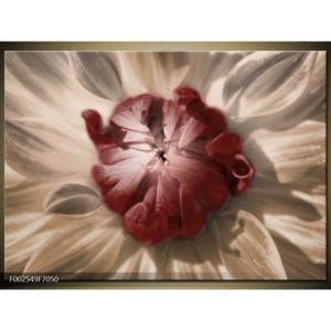 Obraz rozkvétajícího červeného květu (F002549F7050)