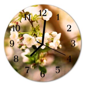 E-shop24, průměr 30 cm, Hnn51904293 Nástěnné hodiny obrazové na skle - Květy jabloně