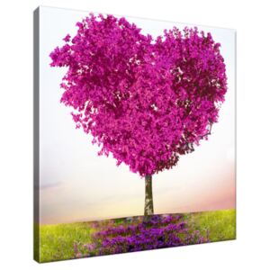 Obraz na plátně Růžový strom lásky 30x30cm 2503A_1AI