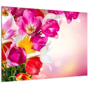 Obraz tulipánů (V021295V7050)