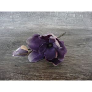Magnolie tmavě fialová*