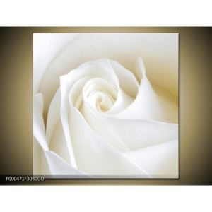 Obraz bílé růže (F000471F3030GD)