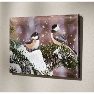 Magnet 3Pagen LED obrázek Zimní ptáci