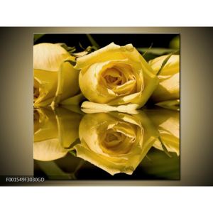 Obraz žluté růže (F001549F3030GD)