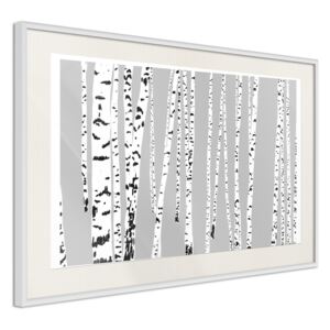 Bimago Zarámovaný obraz - Birch Wood Bílý rám s paspartou 60x40 cm