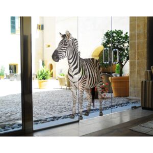 Design samolepka - Zebra