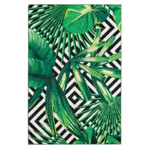 Hans Home | Kusový koberec Exotic 214 green - 160x230