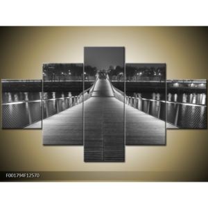 Černobílý obraz mostu (F001794F12570)