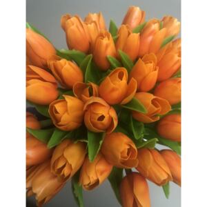 Francouzský tulipán Oranžový